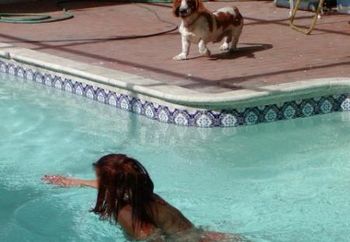 Mrs Mayhem In The Pool