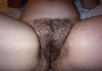 Hairy Bush