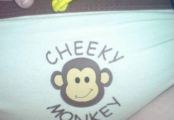 Cheeky Monkey