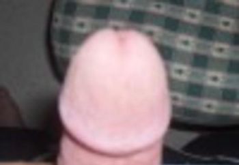 cock