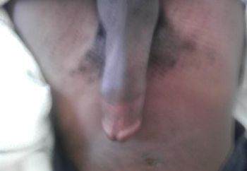 first conrti my cock (male)