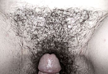 my hairy wife