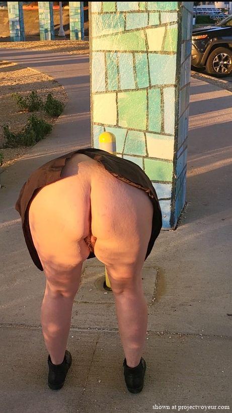PublicNudeWife Public Upskirt No Panties - image4
