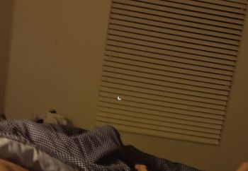 Neighbors Spies On Me, I Make It Easier