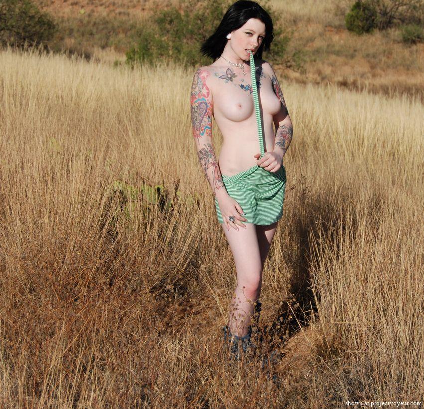 in the field - image3