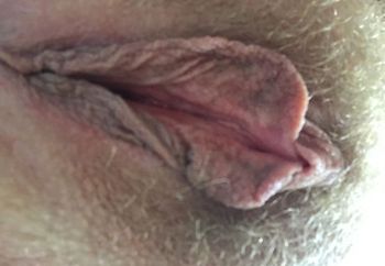 Back to basics: pussy, asshole, tits