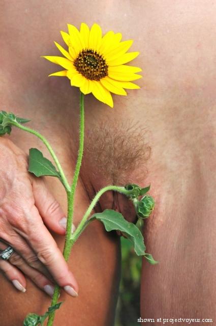 Thewife: Flower Girl