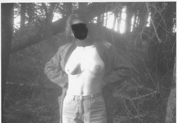 Nip: In The Woods.