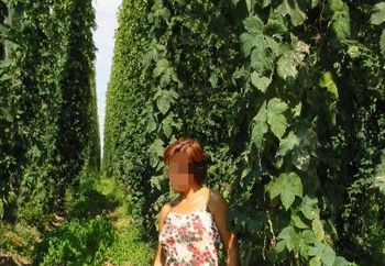 Nip: Lady In Hop Garden