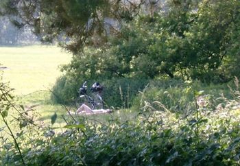 Letzten Sommer Auf Einer Wiese War Echt Geil Die 53 Jhrige