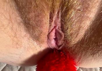 Red Bunny Tail Or The Flower