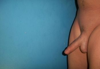 scottish cock