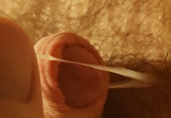 Steeplechase with a kinky wager 