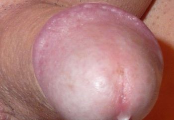 My dick loves women