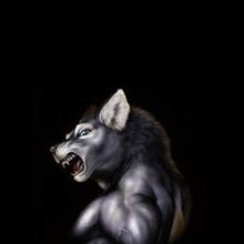 Dark4wolf