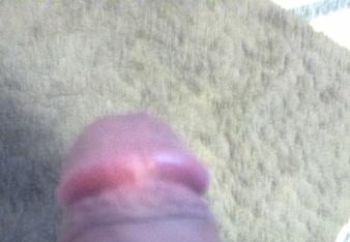 cock