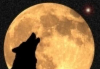 Howling at the moon