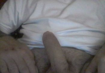 hubs cock