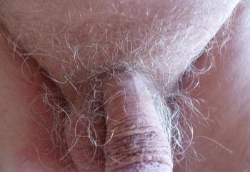 my small contribution