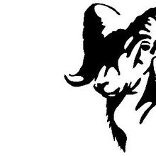 rockyram