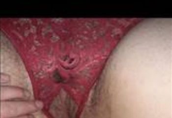 Wife's pussy