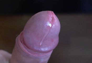 D you like precum