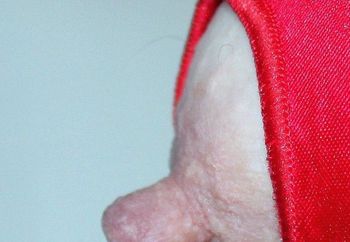 NIPPLE