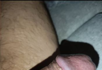 Penis 