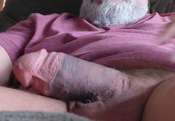 Lapvein