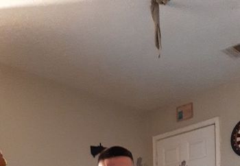 Me
