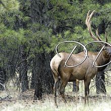 Profile photo for delish-deb