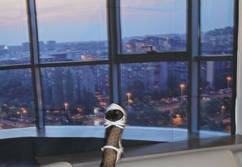 Sky line