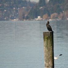 Profile photo for rainydayguy