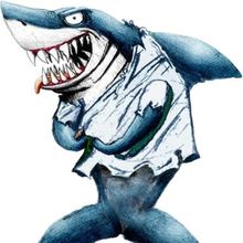 sharkie