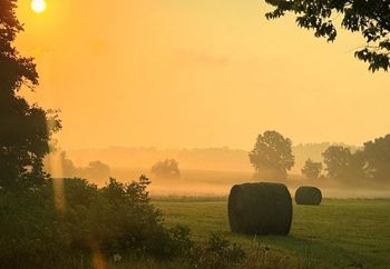 Farm life