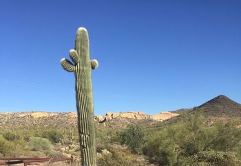 my ride in the dessert